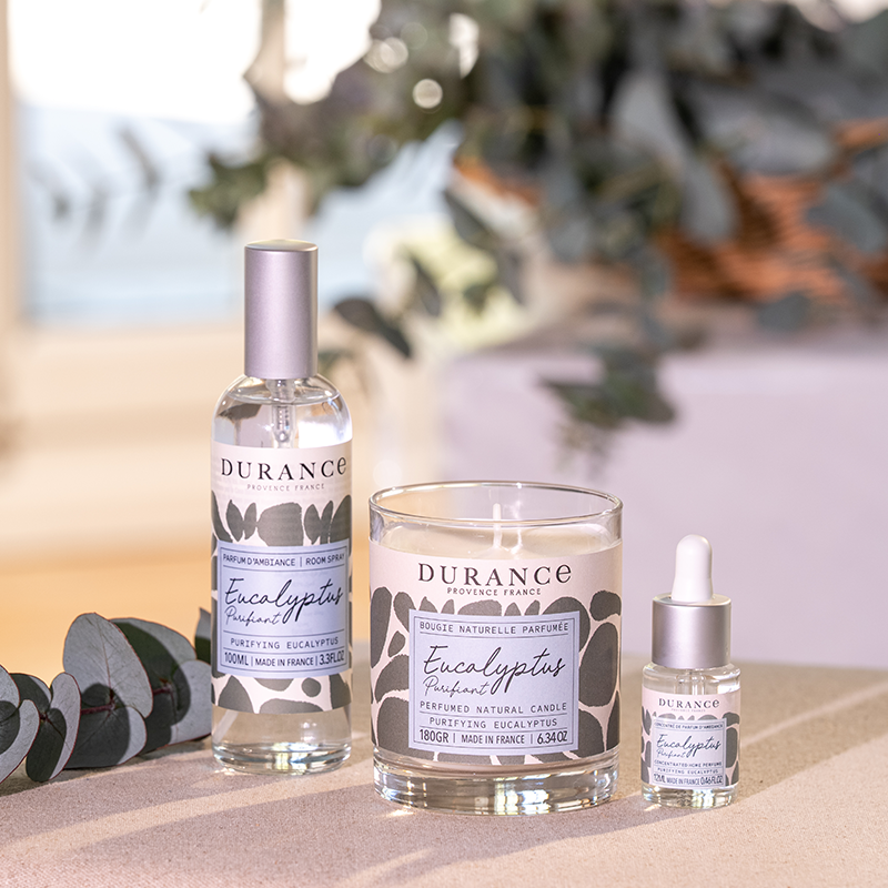 collection Eucalyptus Purifiant