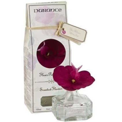 Fleur parfumée Orchidée - Thé Blanc