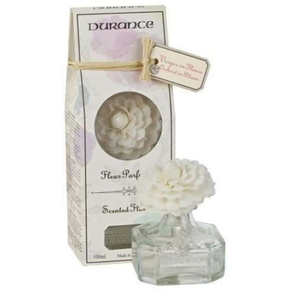 Fleur parfumée Camélia - Verger en Fleurs