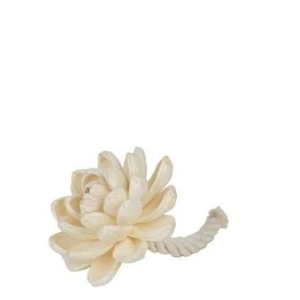 Fleur Parfumée - Dahlia