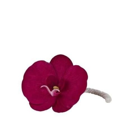 Fleur Parfumée - Orchidée