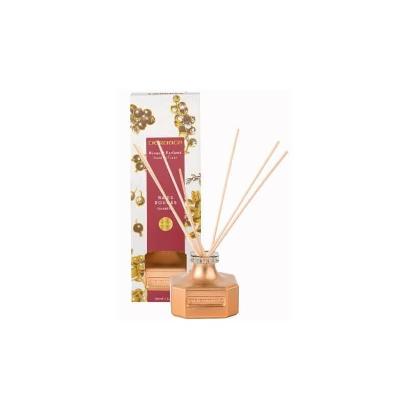 Bouquet Parfumé Diffuseur de Parfum Baies Rouges