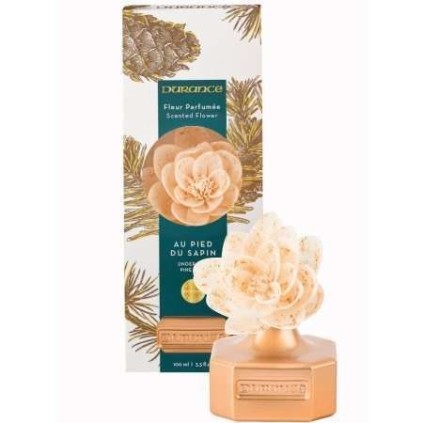 Fleur Parfumée Au Pied du Sapin