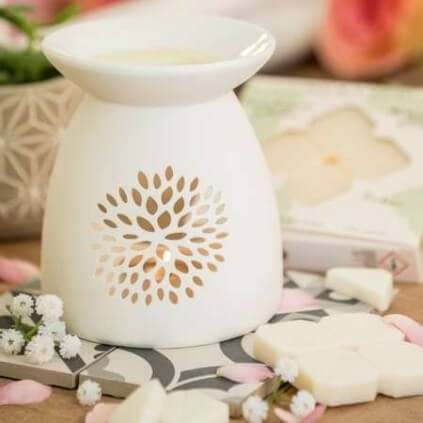 Carrés Fondants de Parfum Fleur de Coton 2