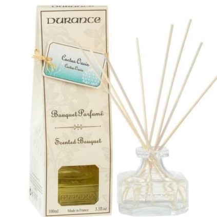Bouquet Parfumé Diffuseur de Parfum Cactus Oasis