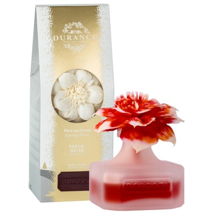 Fleur parfumée Perce-Neige