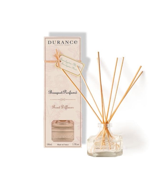 Granulés parfumants senteur menthe eucalyptus – Top Filter Fackelmann France