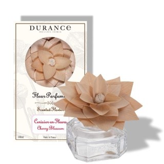 Fleur parfumée cerisier en fleurs