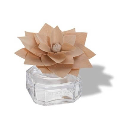 Fleur Parfumée Cèdre Argenté 2