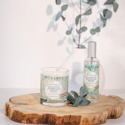 Bougie eucalyptus purifiant 2