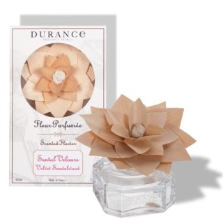 Fleur parfumée Santal Velours