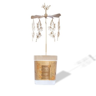 Carrousel bougie poire succulente