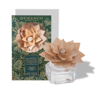 Fleur Parfumée Au Pied Du Sapin