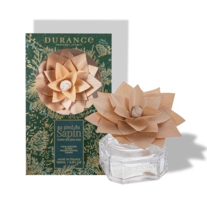 Fleur Parfumée Au Pied Du Sapin