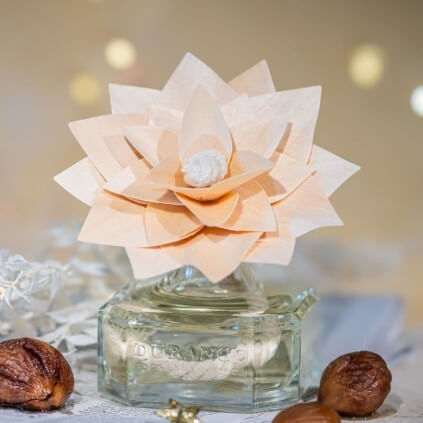 Fleur Parfumée Marrons Glacés 2