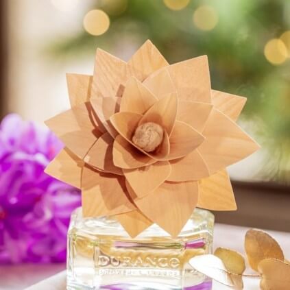 Fleur parfumée jacinthe sauvage 2