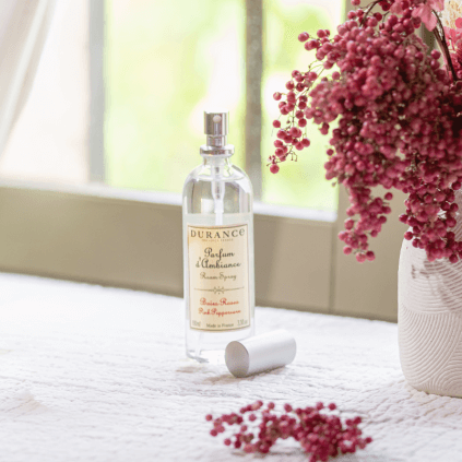 Parfum d'Ambiance Baies Roses 2