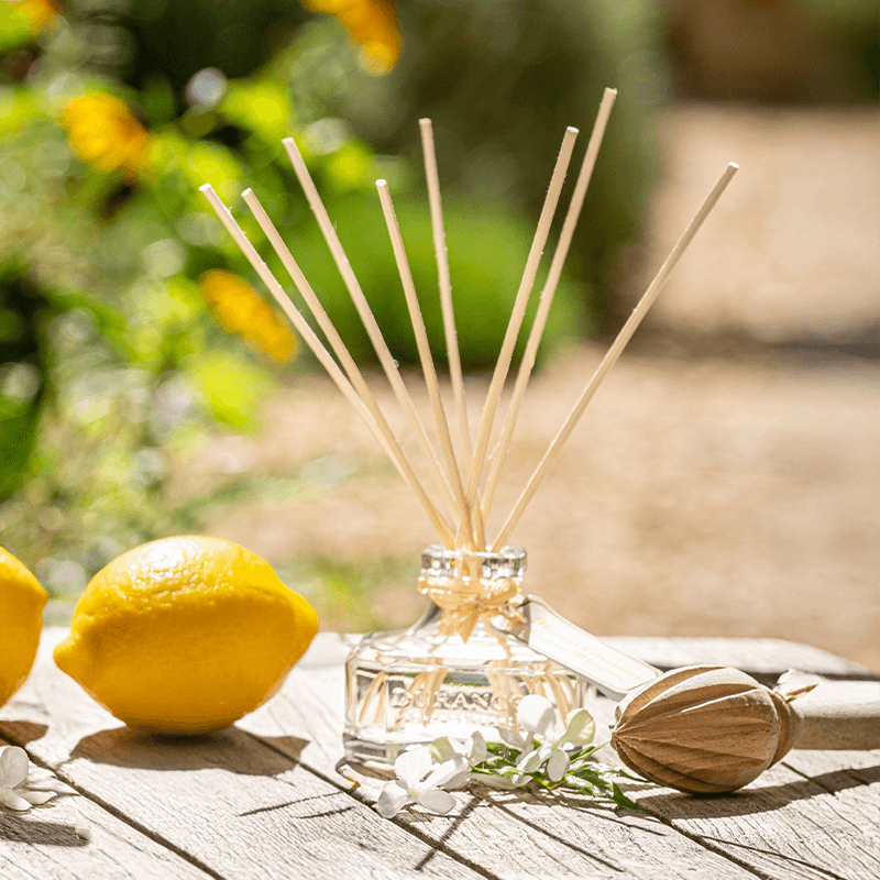 Diffuseur de Parfum Fleur de Citronnier