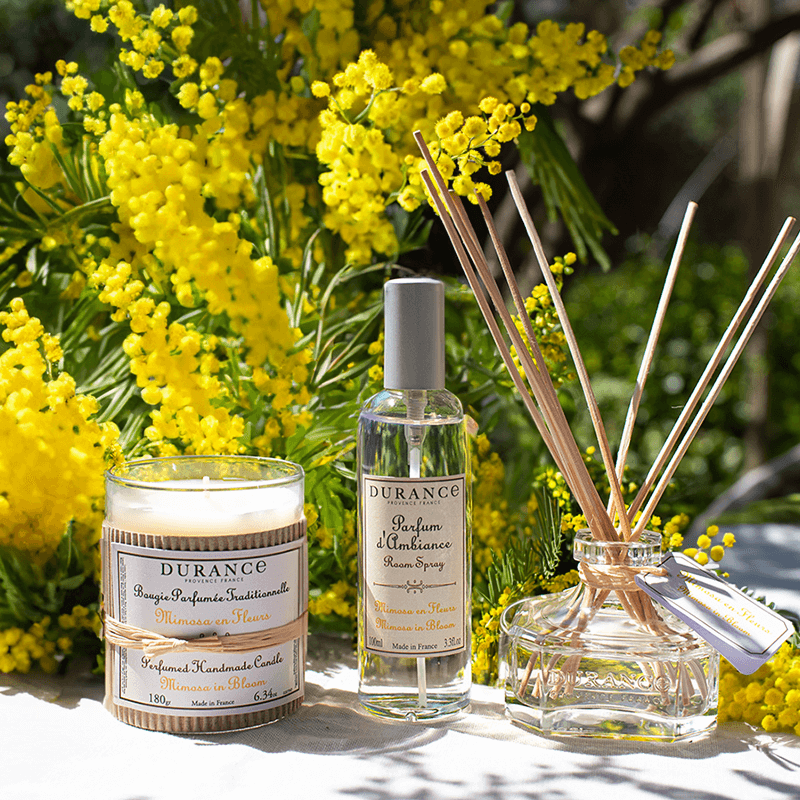 Parfum Mimosa en Fleurs