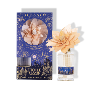 Fleur Étoile Filante