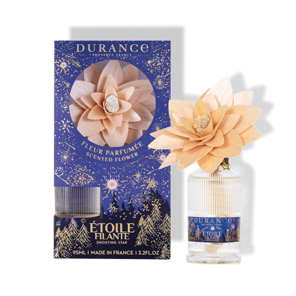 Fleur Étoile Filante