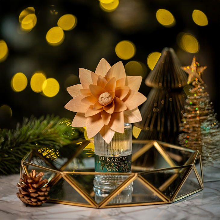 Fleur Parfumée Au Pied Du Sapin