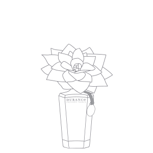 grand diffuseur de parfum