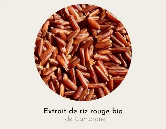 Extrait de riz rouge de Camargue