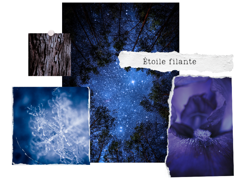 parfum étoile