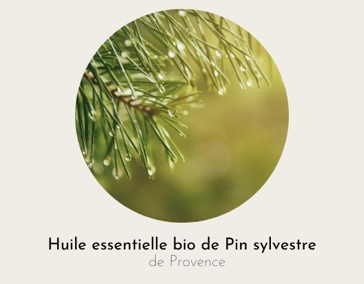 Huile essentielle pin sylvestre